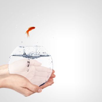 Illustration with goldfish in aquarium on white background