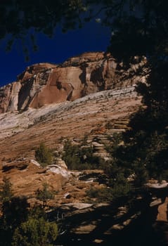 Three cliffs Zion National Park in a low angle shot