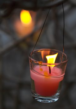 Glass candle on tree branch