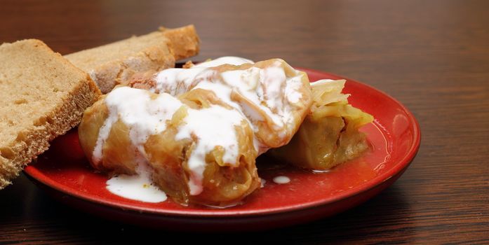 healthy eating - stuffed cabbage served with sour cream and black organic bread