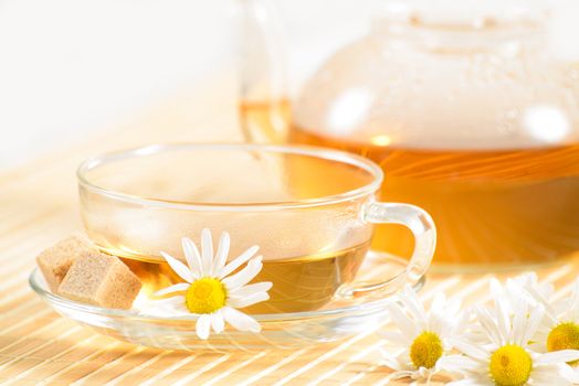 A teacup and a teapot with herbal chamomile tea