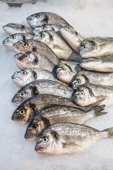 Fish piled one on top of another about to be picked as a meal