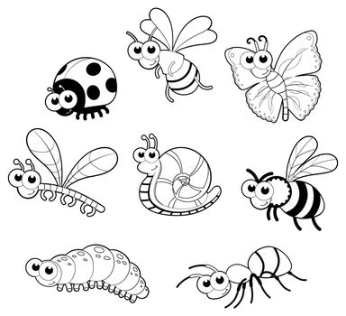 Bugs and 1 snail. Vector isolated black and white characters. Bugs + 1 snail. Vector isolated black and white characters.