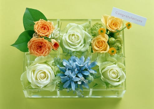 Gift Box Floral