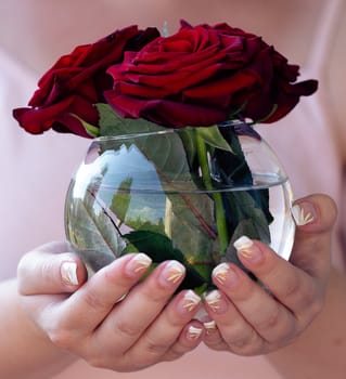 Round transparent vase with red roses in hands of a woman close up