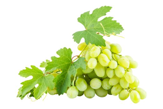 Ripe green grapes with fresh leaves isolated on white background