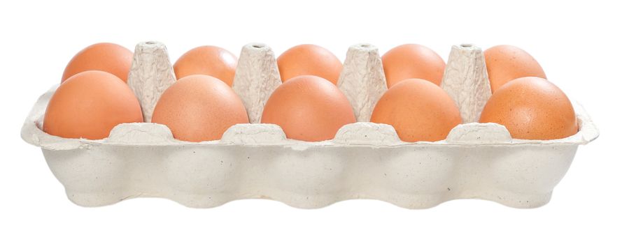 Ten brown eggs in carton package to isolate the background