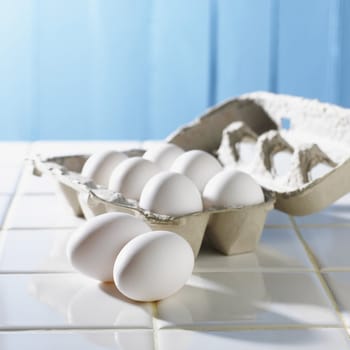 Eggs and Carton