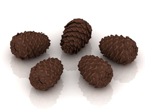 Five pine cones isolated on white background