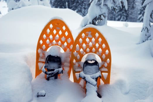 snowshoes in the snow