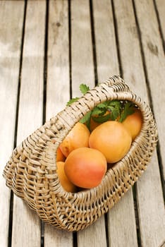 Fresh apricots in basket over wooden table