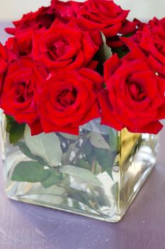 Bunch of red rose flowers in a square vase
