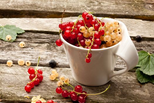 red and white ripe currant in the tea cup