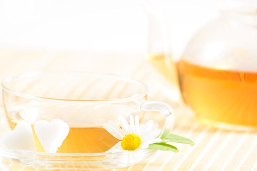 A teacup and a teapot with herbal chamomile tea