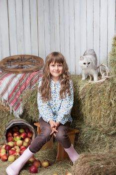 Portrait of sincere little blond girl villager sitting near pail with apples and white cat on hay stack in wooden hayloft