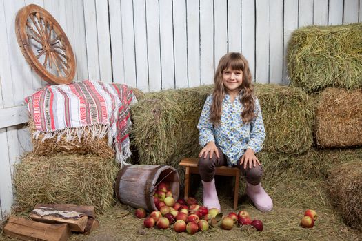 Portrait of friendly little blond girl villager sitting on stool near inverted pail with apples in wooden hayloft during harvest time