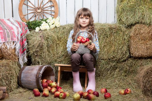 Portrait of friendly little blond girl villager sitting on stool with basket of apples in hands near inverted pail in wooden vintage hayloft during harvest time in autumn