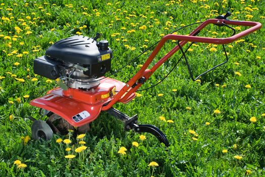 Hand tractor plough from back side on the flowering dandelion field Horizontal