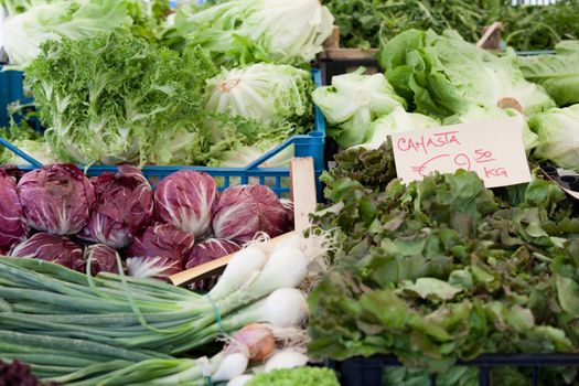 Variety of fresh vegetarian greens, lettuce, cabbage at open farmer’s street vegetable market