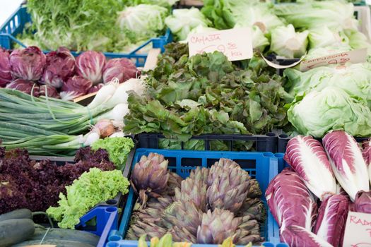 Variety of fresh vegetarian greens, lettuce, cabbage at open farmer’s street vegetable market