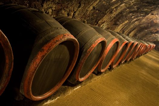 Row of Old wine barrels are stored in winery cellar near moss-grown wall