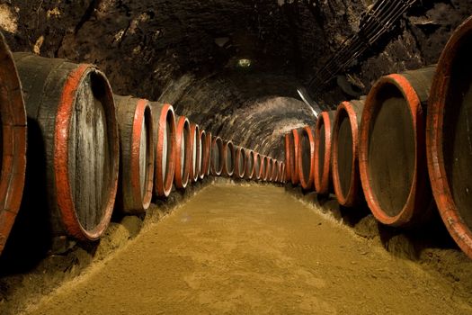 Old wine barrels are stored in winery cellar