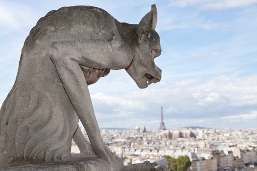 Gothic gargoyle Statue on cloudy sky background and top view from cathedral Notre Dame on streets, center, downtown, tower Eiffel in city Paris France in summer