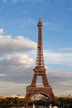 European national landmark Eiffel tower through leaves of park trees in spring in city Paris France on the blue sky background