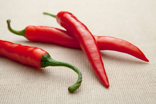 Fresh ripe pods of red hot cayenne chili pepper close-up on  beige homespun tablecloth