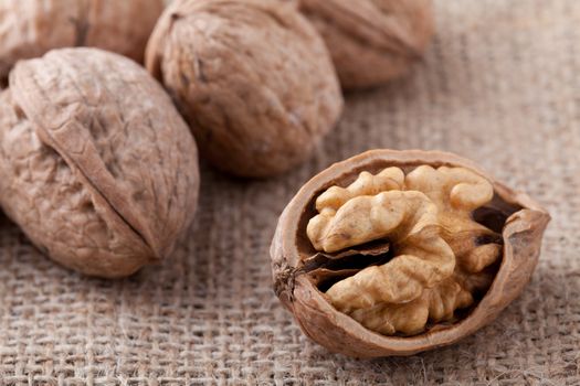 Core of cracked nut close-up, group of brown Circassian walnuts on the sackcloth background