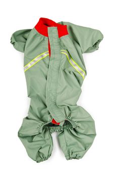Pet clothing isolated on the white