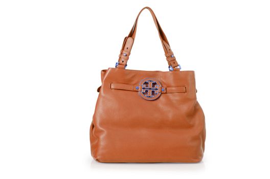 Elegant woman bag isolated on white
