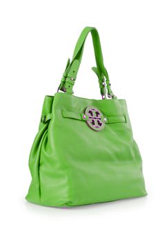 Elegant woman bag isolated on white