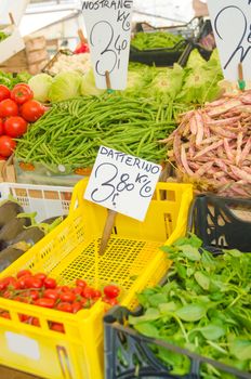 Fruits and vegetables at the market stall