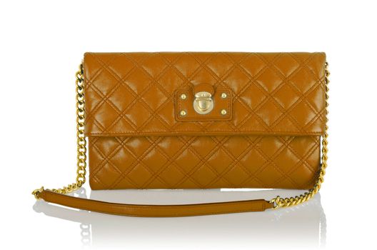 Elegant woman bag isolated on white