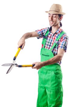 Man gardener with shears on white