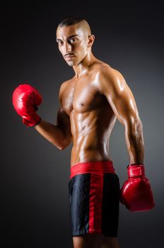 Muscular boxer in studio shooting