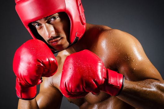 Muscular boxer in studio shooting