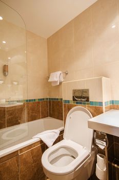 Toilet in the modern bathroom 