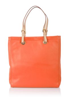 Elegant woman bag isolated on white
