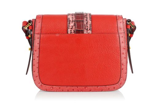 Elegant woman bag isolated on white