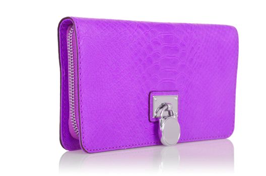 Elegant woman bag isolated on white