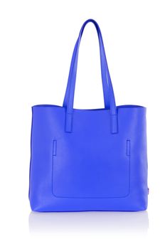 Elegant woman bag isolated on white