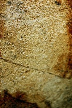 Circles of sliced wood. Background grunge texture