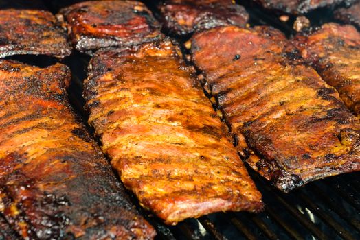 Barbecue Ribs on the Grill