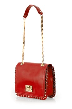 Elegant woman bag isolated on white