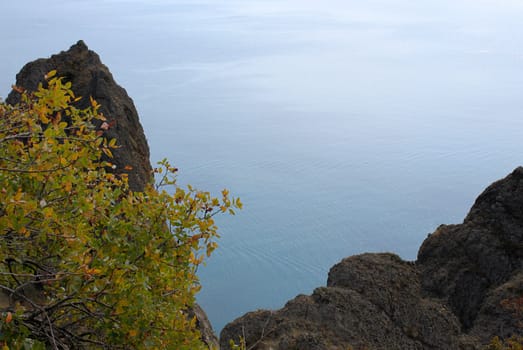 view on sea from mountain