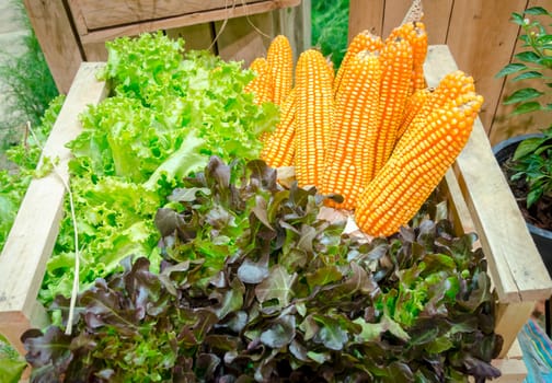 fresh corn and vegetables on the table in the garden