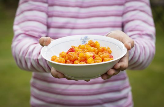 A child holding out a plate full of ripe cloudberries