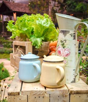 set of tea pots and vegetables still life with background of garden